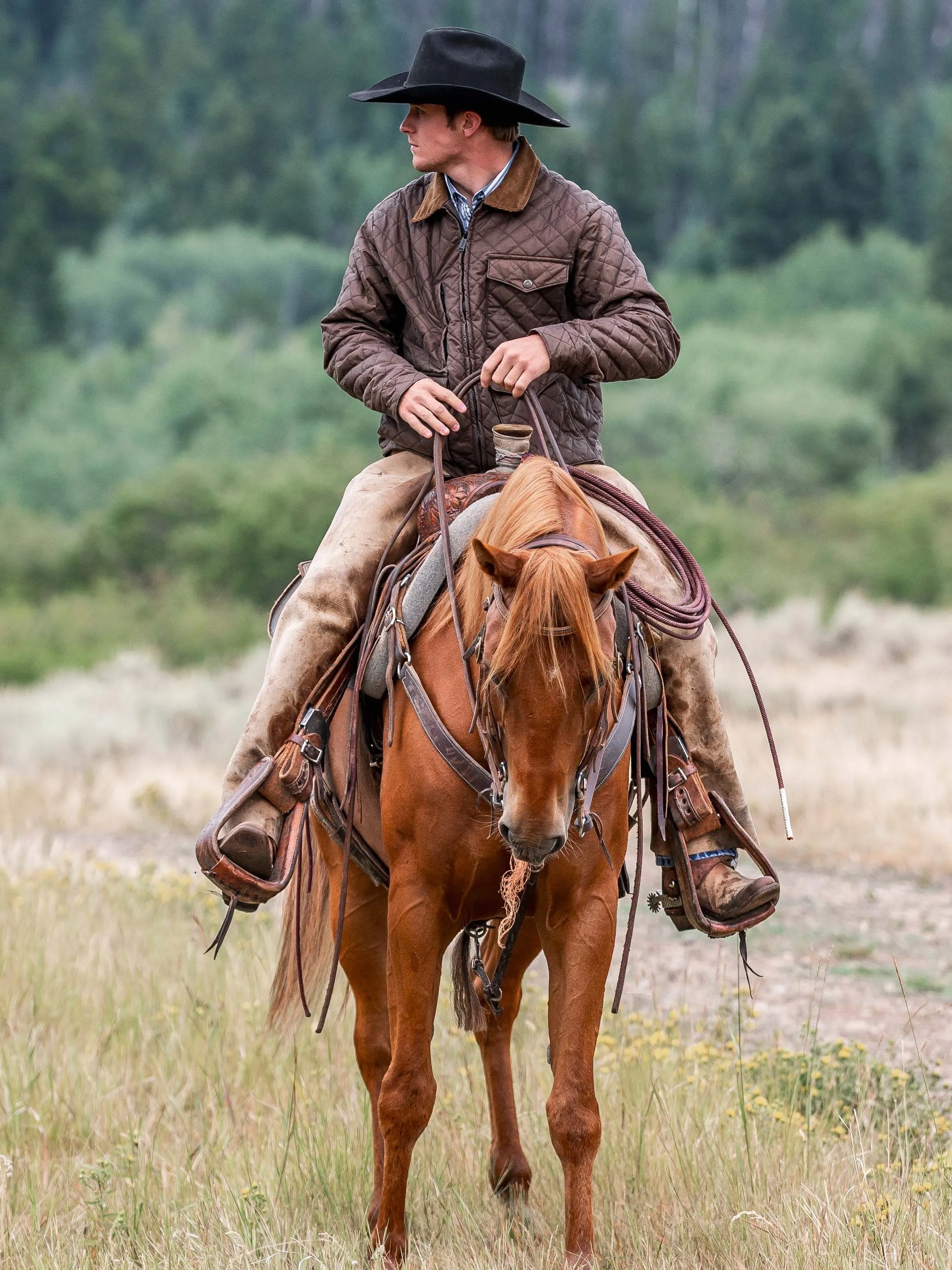 RangeWax® Blacktail Quilted Jacket